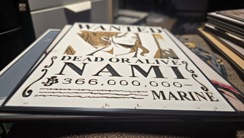 Cat Burglar Nami Wanted Poster – One Piece 3D-Printed HueForge Art